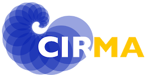 CIRMA University of Turin logo